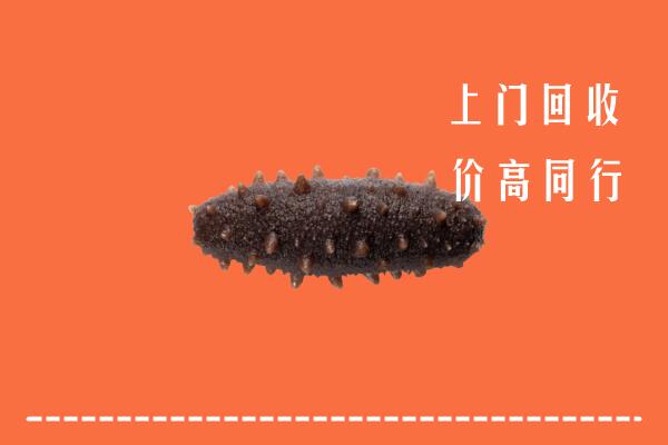 丹江口市回收海参