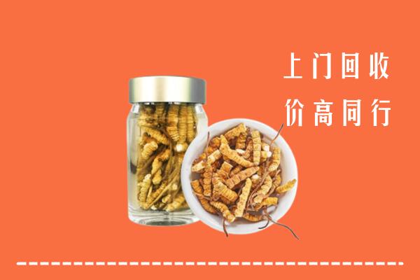 丹江口市回收冬虫夏草