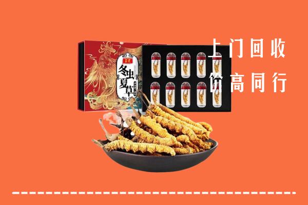 丹江口市回收虫草